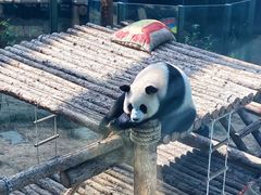 -大连森林动物园