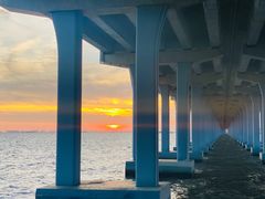 -宝安西湾红树林湿地公园