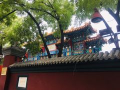 -重庆烧鸡公火锅(簋街店)