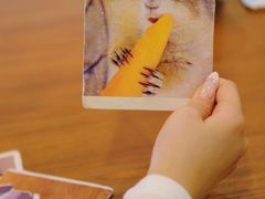 -有猫主题·治愈系猫咖(曾厝垵店)