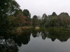 -邓小平故里