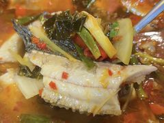 -大理.老字号渝记酸萝卜乌鱼(古城总店)