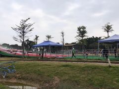 -长洲岛都市农业公园