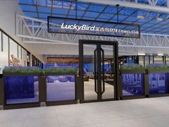 -金吉鸟健身游泳