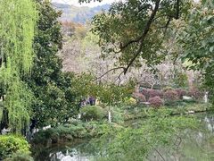 -西湖游船