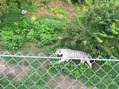 -石家庄市动物园