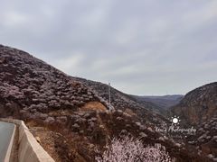 -妙峰山风景名胜区