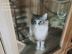 -白兔子密室(长寿路店)