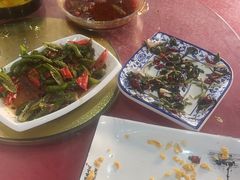 -照金特色农家乐