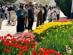 -石家庄市植物园