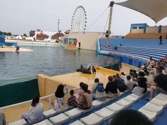 -秦皇岛乐岛海洋王国