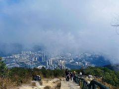 -梧桐山风景名胜区