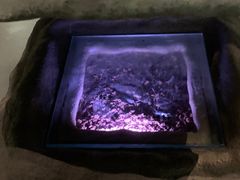 -佛山科学馆