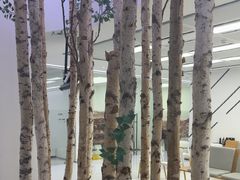 -极简口腔(总院)