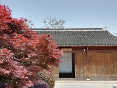 -苏州太湖国家湿地公园