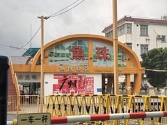 -长洲岛