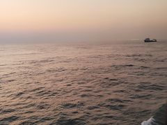 -海安新港(公交站)