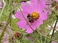 -丽江泸沽湖景区