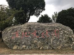 -长兴太湖图影湿地文化园