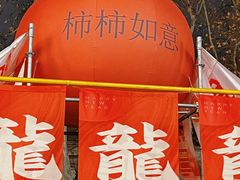 -金茂览秀城
