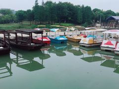 -尚贤河湿地