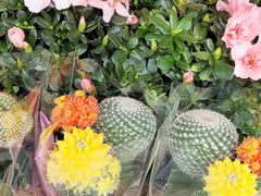 -爱尚花坊(大林路店)