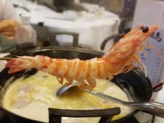 -鲜入围煮花胶鸡海鲜火锅