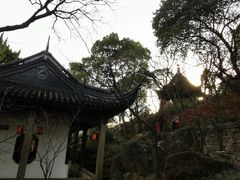 -香雪海
