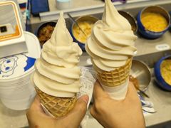 -溪边姑娘·拉丝酸奶水果捞(春熙路店)