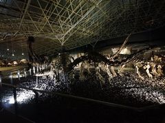 -世界恐龙谷景区