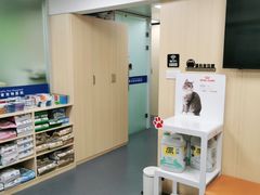 -申普宠物医院·心脏介入·心血管微创(总院)