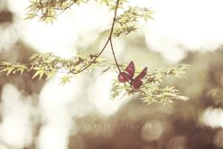 -太古映画婚纱摄影(天河店)