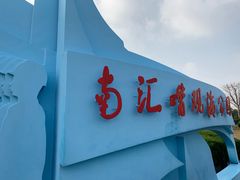 -南汇嘴观海公园