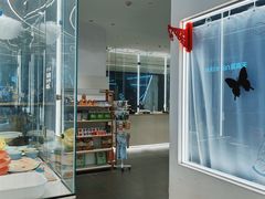 -babydoll猫舍·米努特·德文·缅因(久光中心店)