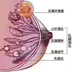 -海茱雅科技健康美容