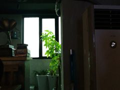 -秃鹫湾·推理大师沉浸式实景演绎推理剧场