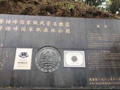 -磬锤峰森林公园
