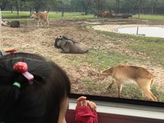 -西安秦岭野生动物园