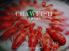 -红盔甲·小龙虾(人民广场店)