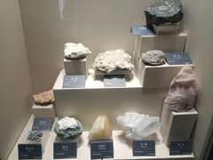 -安徽省地质博物馆