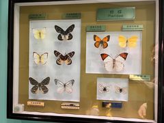 -上海昆虫博物馆