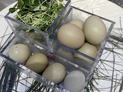 -华膳楼·安徽地标美食·中华餐饮名店(文化公园店)