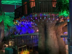 -杭州开元森泊度假乐园