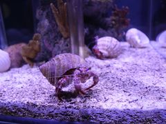 景点-太平洋海底世界