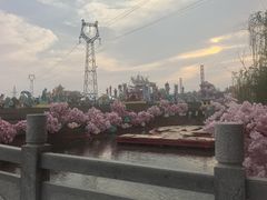 -淄博花灯齐彩城