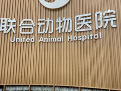 -联合动物医院(光谷诊疗中心)