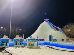 -沈阳奥体冰雪嘉年华