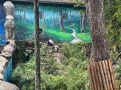 -中国大熊猫保护研究中心雅安碧峰峡基地