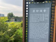 -马家湾湿地公园