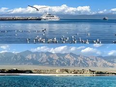 -青海湖国家重点风景名胜区